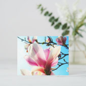 Fleurs Magnolia - Carte postale (Debout devant)