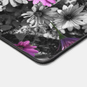 Fleurs marguerites africaines Couleur partielle Pe (Coin)