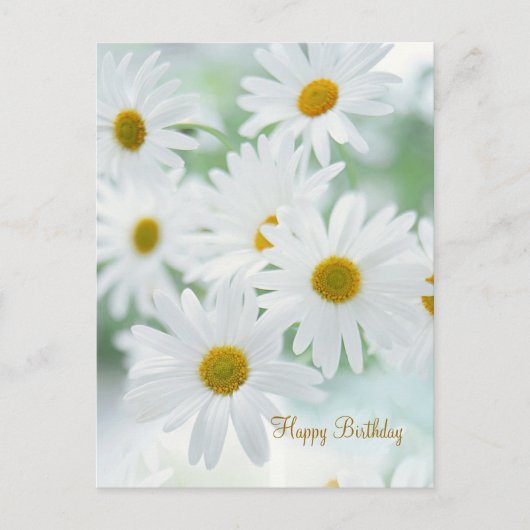Fleurs marguerites - Carte postale Anniversaire (Devant)