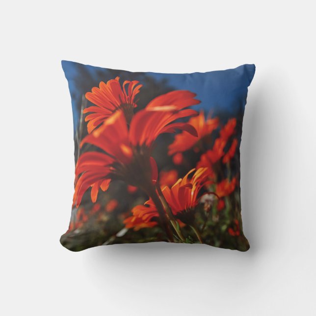 Fleurs marguerites Coussin Bleu Orange Coussin Jeu (Recto)