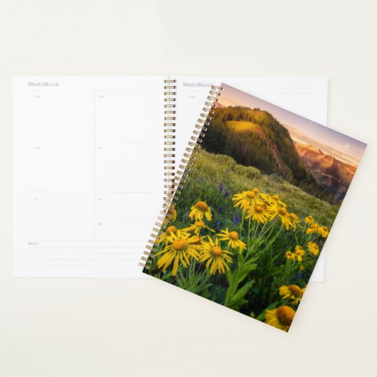 Fleurs | Mountain Meadow Crested Butte Colorado (Devant avec enveloppe)
