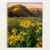 Fleurs | Mountain Meadow Crested Butte Colorado (Devant)