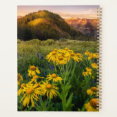 Fleurs | Mountain Meadow Crested Butte Colorado (Dos)
