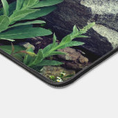 Fleurs Mullein Sauvages Parmi Les Roches Personnal (Coin)