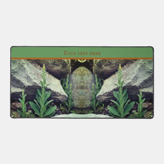 Fleurs Mullein Sauvages Parmi Les Roches Personnal (Recto)