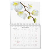 Fleurs murales du calendrier 2024 en Macro-Photogr (Jan 2026)