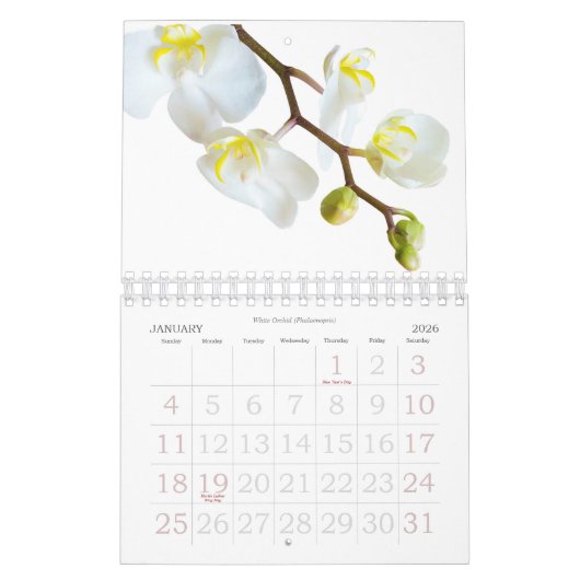 Fleurs murales du calendrier 2024 en Macro-Photogr (Jan 2026)