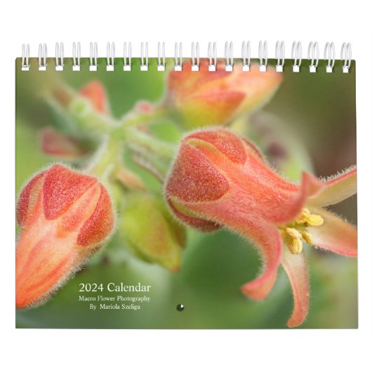 Fleurs murales du calendrier 2024 en Macro-Photogr (Protection)