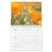 Fleurs murales du calendrier 2024 en Macro-Photogr (Mar 2026)