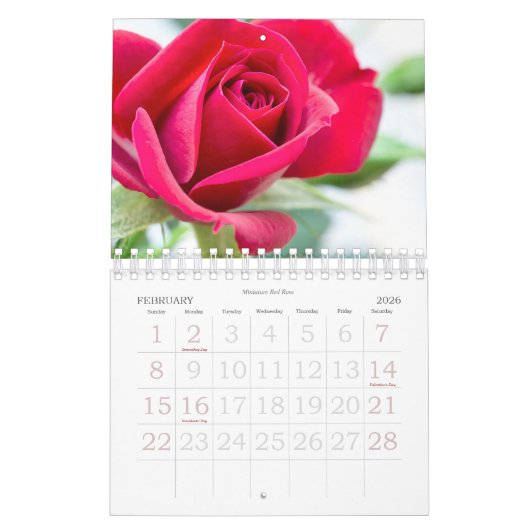 Fleurs murales du calendrier 2024 en Macro-Photogr (Feb 2026)