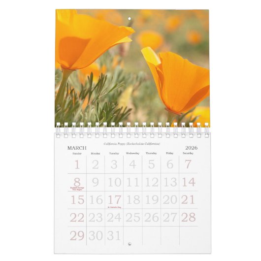 Fleurs murales du calendrier 2025 en Macro Photogr (Mar 2026)
