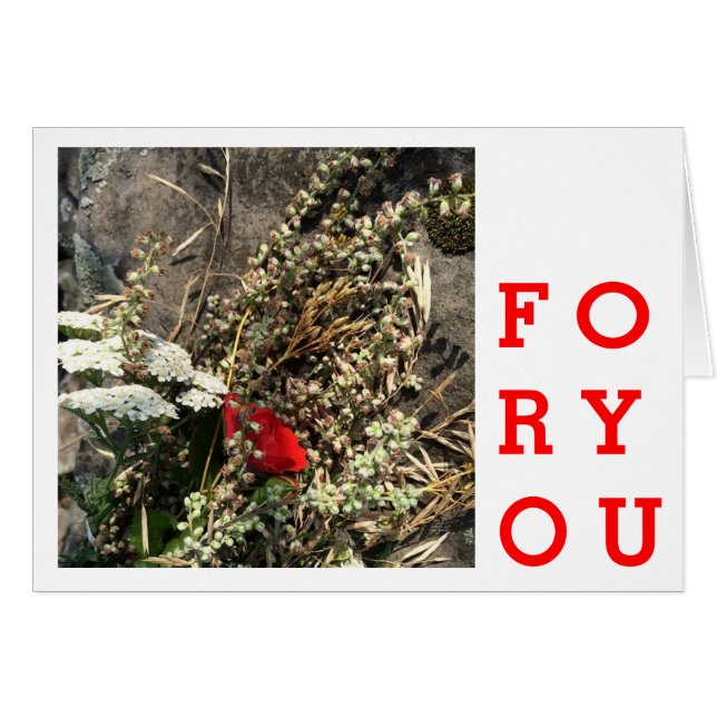 Fleurs naturelles (Devant horizontal)