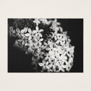 Fleurs noires et blanches