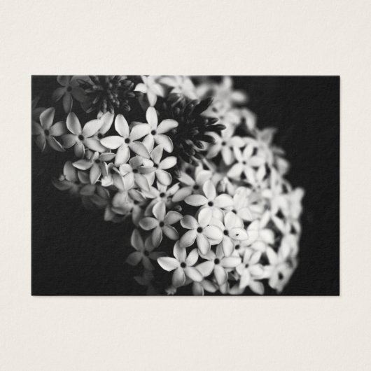 Fleurs noires et blanches (Devant)