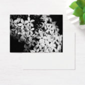 Fleurs noires et blanches (Bureau)