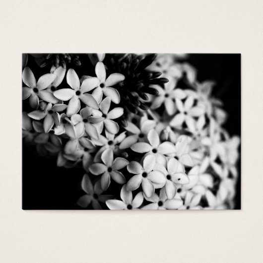Fleurs noires et blanches (Devant)