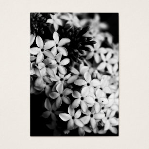 Fleurs noires et blanches