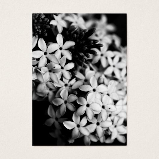 Fleurs noires et blanches (Devant)