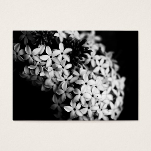 fleurs noires et blanches (Devant)