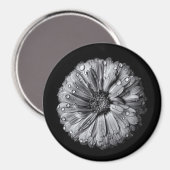 Fleurs Noires Et Blanches 10 Aimants (Recto/Verso)