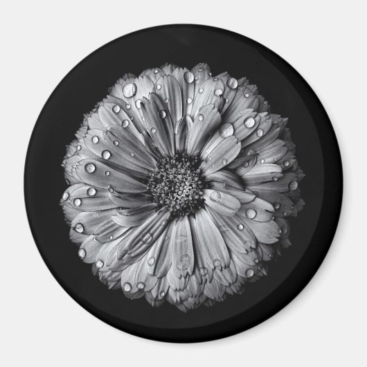 Fleurs Noires Et Blanches 10 Aimants (Devant)
