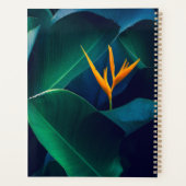 Fleurs | Oiseau du paradis (Dos)