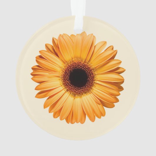 Fleurs | Orange Gerbera (dos)