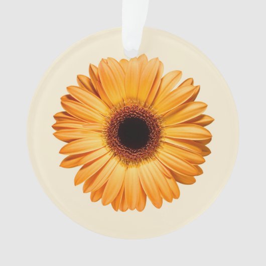 Fleurs | Orange Gerbera (devant)