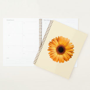 Fleurs Orange Gerbera