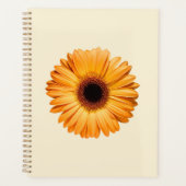 Fleurs | Orange Gerbera (Devant)