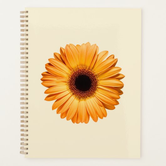 Fleurs | Orange Gerbera (Devant)