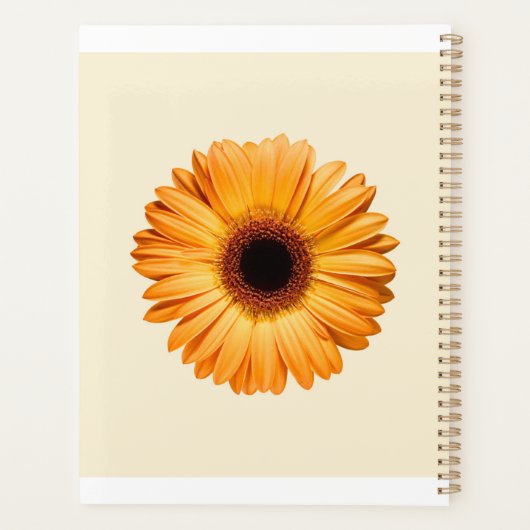 Fleurs | Orange Gerbera (Dos)