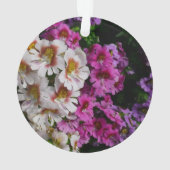 Fleurs papillon rose blanc et violet (dos)