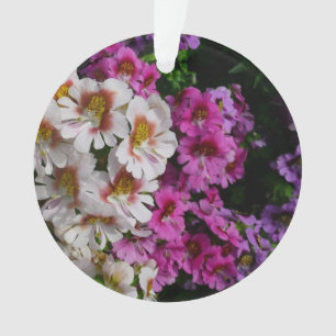 Fleurs papillon rose blanc et violet