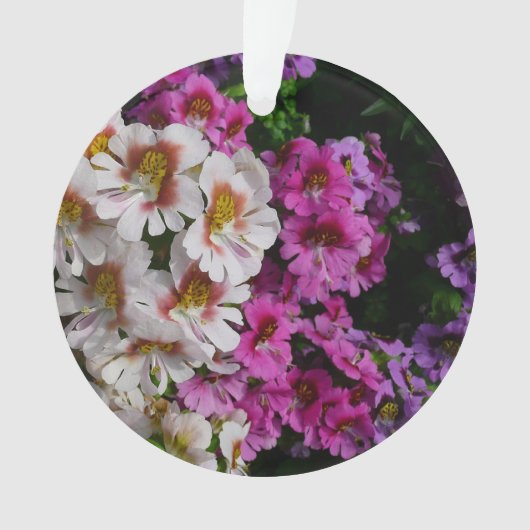 Fleurs papillon rose blanc et violet (devant)