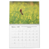 Fleurs, papillons et oiseaux Calendrier 12 mois (Feb 2027)