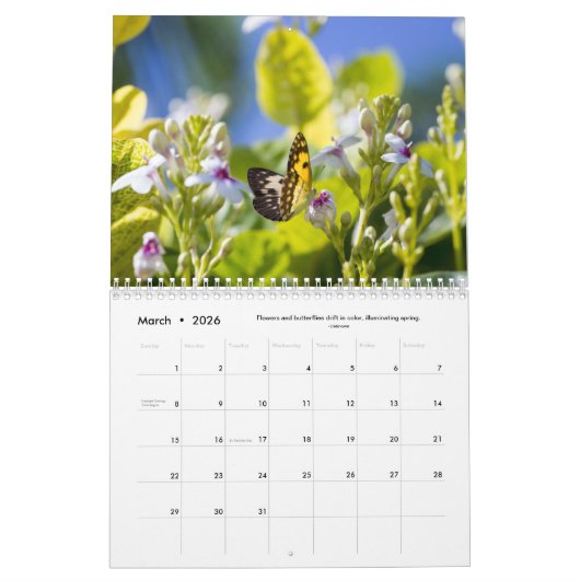 Fleurs, papillons et oiseaux Calendrier 12 mois (Mar 2026)