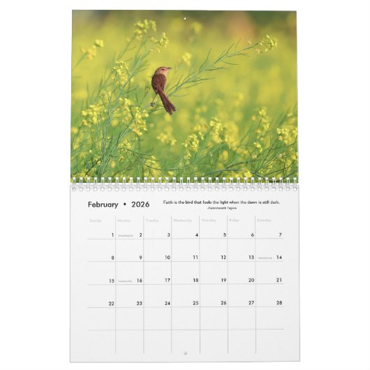 Fleurs, papillons et oiseaux Calendrier 12 mois (Feb 2026)