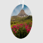 Fleurs | Parc national des Glaciers du Montana (devant)