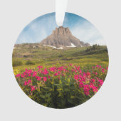 Fleurs | Parc national des Glaciers du Montana (devant)