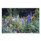 Fleurs photo 4x6 (Devant)