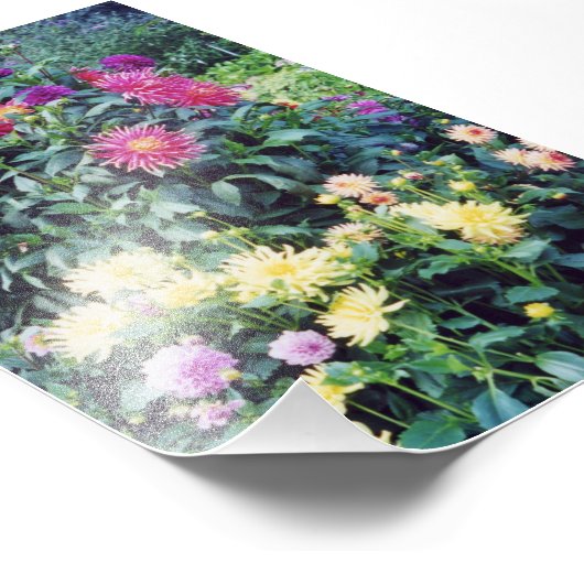 Fleurs photo 6x4 (Coin)