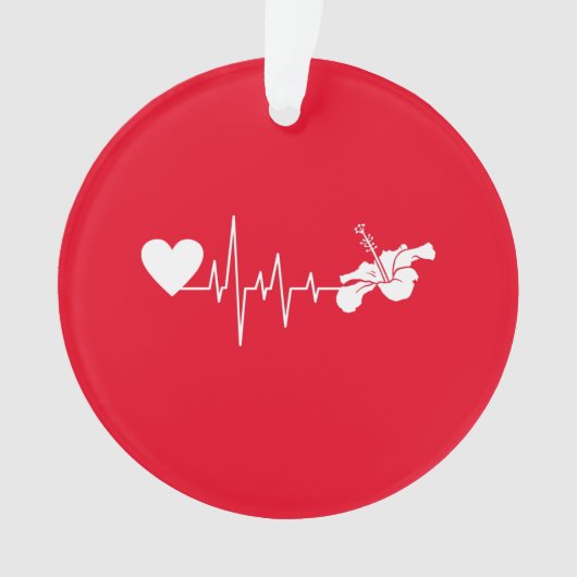 Fleurs - Plante d'Hibiscus (devant)