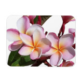 Fleurs Plumeria Magnet Premium (Horizontal)