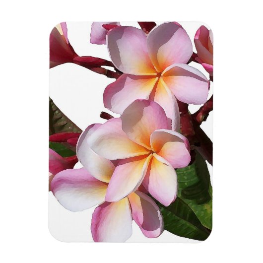 Fleurs Plumeria Magnet Premium (Vertical)
