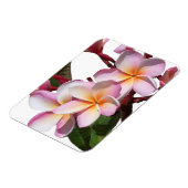 Fleurs Plumeria Magnet Premium (Côté Gauche)