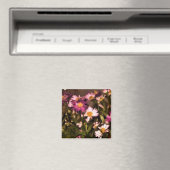 fleurs pour aimant pour mes amis (In Situ (Lave-vaisselle))