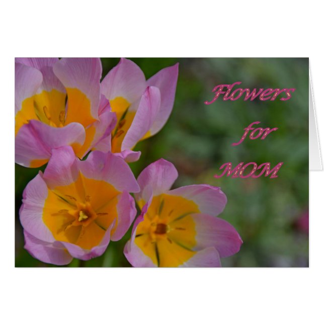 Fleurs pour maman (Devant horizontal)