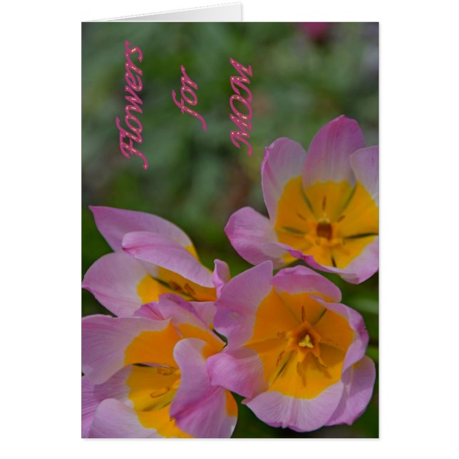 Fleurs pour maman (Devant)