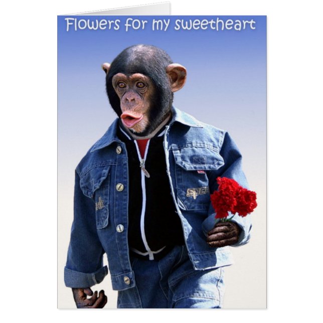 Fleurs Pour Mon Amour (Devant)